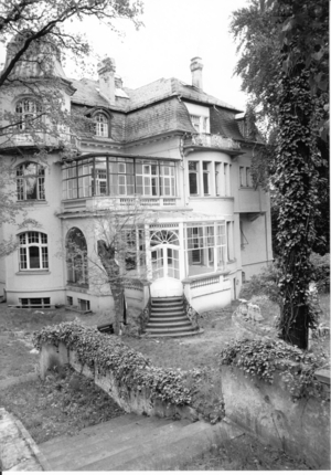 Lion Villa in Gregor Mendel Street (photo)