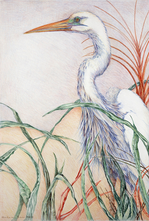 Heron 1986 (drawing)