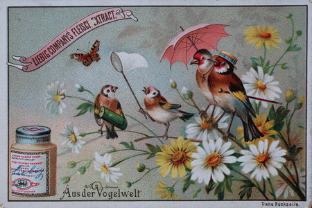 Picture series From the World of Birds, humanised birds with umbrella and butterfly net