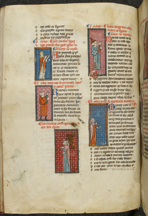 Page from 'Poems in Provencal' by Matfre Ermengau (vellum)