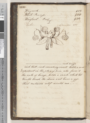 Index continued, 1810-17 (w/c & manuscript text)