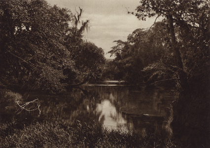 Mexico: Tamasopo, Panorama del rio, Estado Vera Cruz (b/w photo)