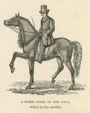 A rider close on the neck, when in the saddle (engraving)