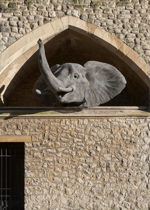 Royal beasts, 2011 (galvanised wire)