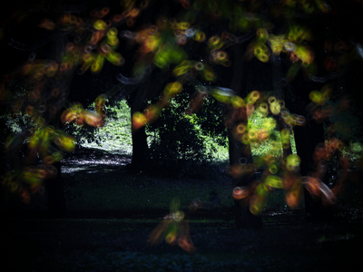 Parco di Tor Tre Teste, Rome, Italy, 2023 (photo)