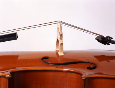 Cello close up of bridge
