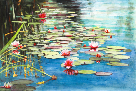 Waterlilies, 2021 (watercolour)