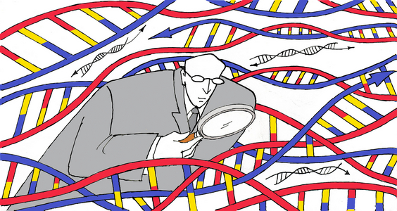 DNA analysis,  2007 (ink on paper & digital colour)