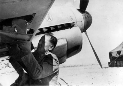 WW2 - African campaign - war coverage (photo)