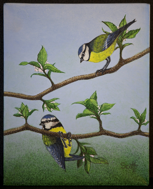 Bluetits, 2016, (oil on canvas)