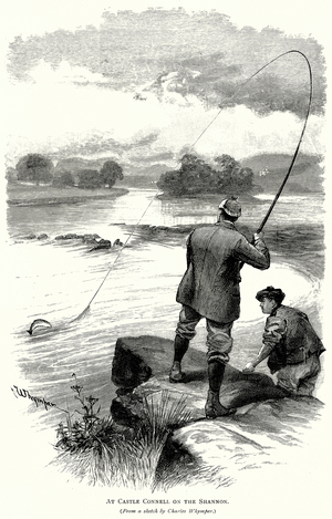 At Castle Connell on the Shannon (engraving)