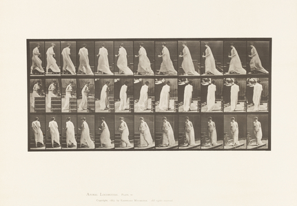 Plate 97. Turning to Ascend Stairs, With Pitcher & Goblet in Hands, 1885 (collotype on paper)