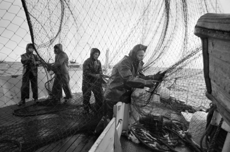 19690322. "The blackest herring year" …, 1969 (photo)