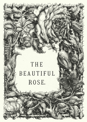 The Beautiful Rose (engraving)