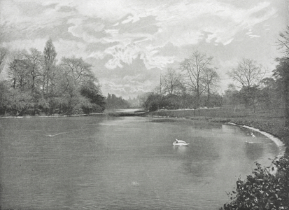The Lake, St James's Park (b/w photo)
