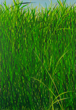 Summer Grass, 2020 (acrylic on canvas)