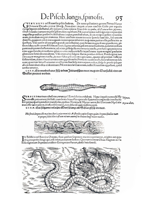 Medici Tigurini Historiae animalium