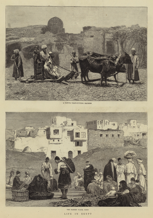 Life in Egypt (engraving)