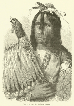 Chef des Indiens Creeks (engraving)