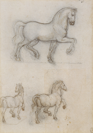 Studies for an equestrian monument, c.1517 (pen & ink over chalk on paper)