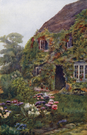 An Old-fashioned Cottage Garden (colour litho)