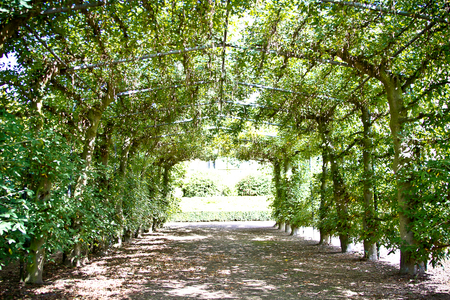 Pergola, Temple Newsam House, West Yorkshire (photo)