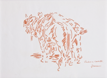 Study for a Horse (red pastel on paper)