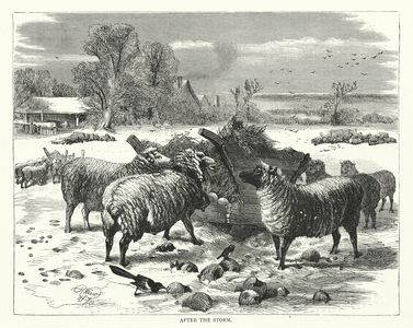 After the storm (engraving)