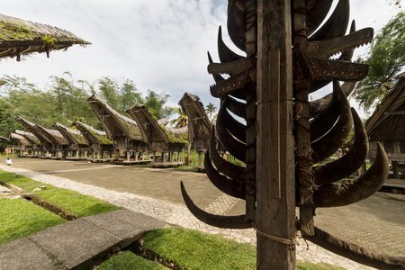 Tongkonan, traditional Torajan ancestral houses in Kete Kesu (photo)