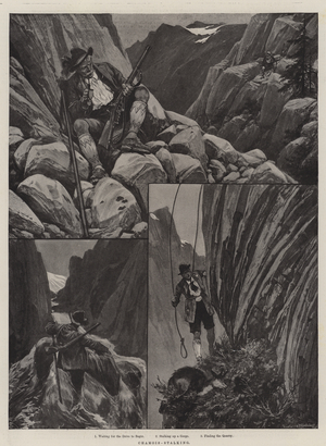 Chamois-Stalking (litho)