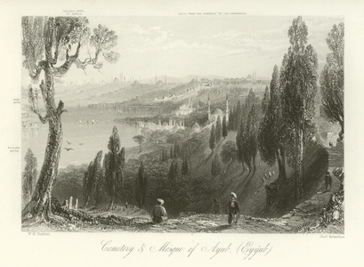 Cemetery and Mosque of Ayub, Constantinople (engraving)