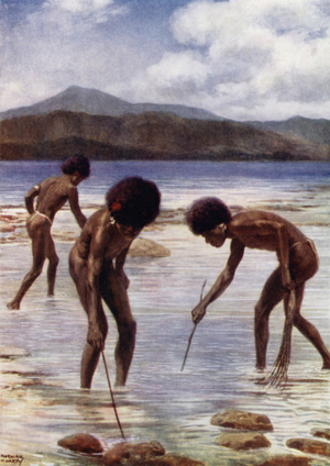 Searching for small Octopi on the Reef at low tide, Samari, British New Guinea (colour litho)