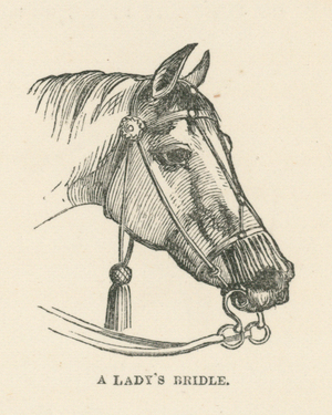 A Lady's Bridle (engraving)