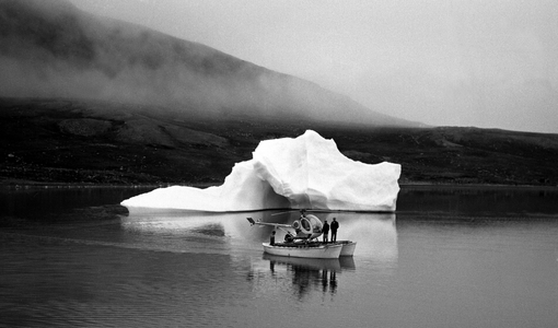Greenland September 1969 For the first time, the focus will be on musk …, 1969 (photo)