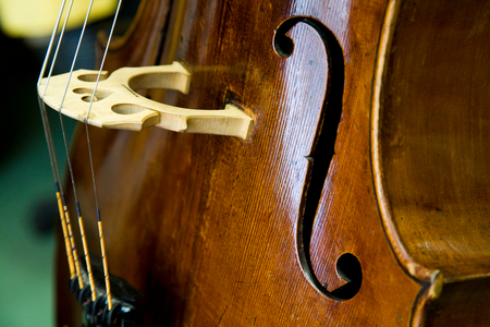 Cello closeup