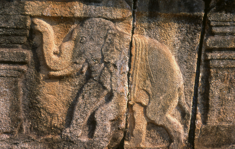 Sri Lanka: Bas-relief showing an elephant on the base of the public Audience Hall used by King Parakramabahu the Great (1123 - 1186), Royal Palace Group, Polonnaruwa (photo)
