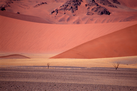 Sand dunes and desert landscape in Namib Desert (photo)