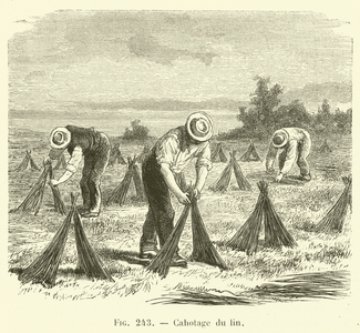 Cahotage du lin (engraving)