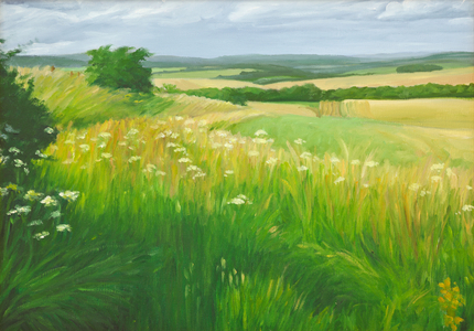 Landscape in the Deverells, Wiltshire, 2010 (oil on canvas)