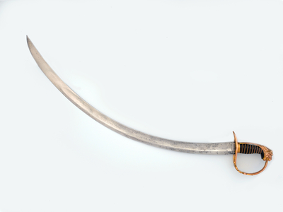 Pattern 1803 Light Infantry sword, 82nd Regiment of Foot (Prince of Waless Volunteers) (metal)