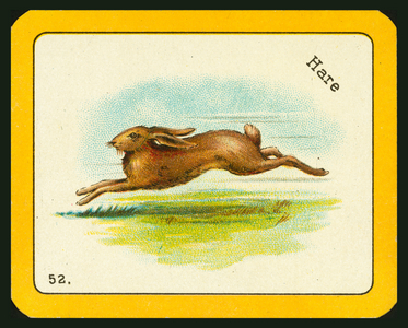 Card from The Black Cat Greyhound Racing Game (colour litho)