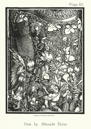 Nature in Ornament: Vine by Albrecht Durer (litho)