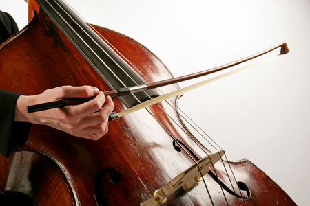 Detail of playing Sul Tasto