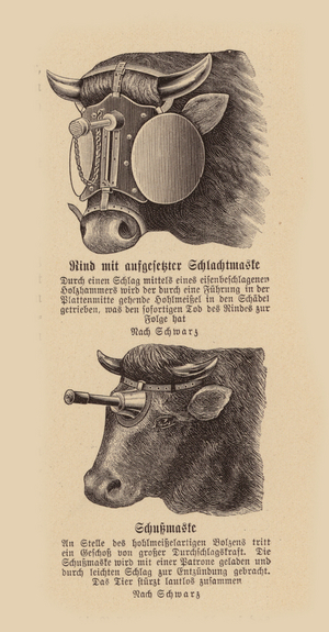 Masks used on cattle in a slaughterhouse (engraving)