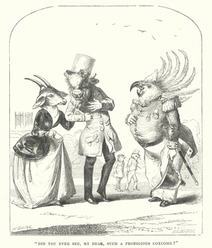Such a prodigious coxcomb (engraving)