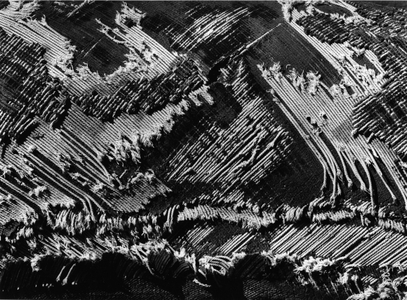 Textile, 1973 (silver gelatin print)