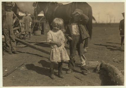 Cotton picker aged 4 who picks 15 pounds a day regularly and 7 year old who picks 50. They move from farm to farm and live in emigrant wagons, McKinney, Texas, 1913 (b/w photo) 