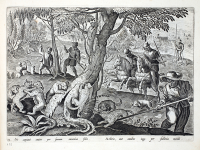 Hunting Cats with dogs, illustration from 'Venationes, Ferarum, Avium, Piscium' (Of Hunting: Wild Beasts, Birds, Fish), engraved by Jan Collaert (1566-1628), pub. by Phillipus Gallaeus, Amsterdam (engraving)