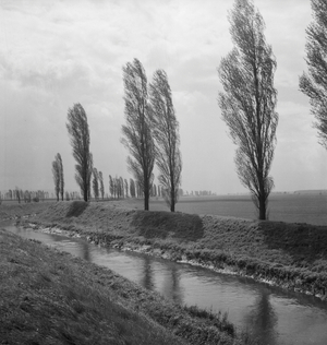 Summer in the countryside, Germany 1930s (b/w photo)