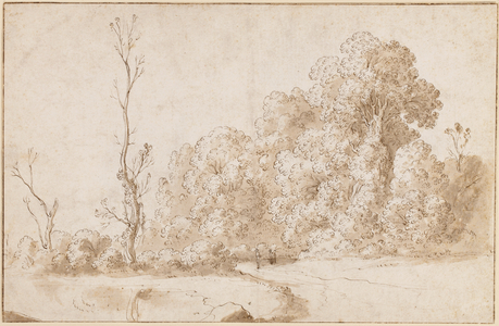 A wooded landscape (black chalk, pen & brown ink, brown wash, & brown ink on paper)